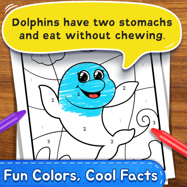 Color By Numbers Coloring Book For Kids2