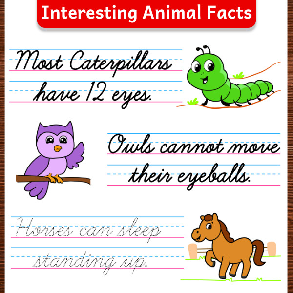 Cursive-Handwriting-Workbook5