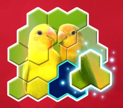 Jigsaw Puzzles Hexa